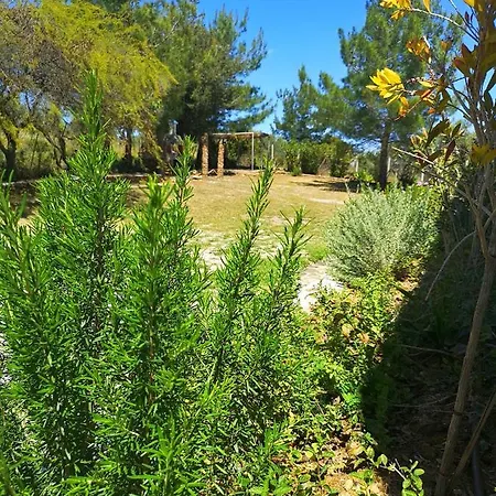 Chrysanthi Villa, Living In Nature Villa Vlicha (Rhodes)